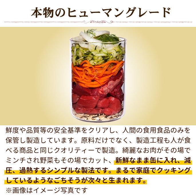 テラカニス パピーチキン 400g 子犬用 12缶セット 犬用缶詰 ウェット