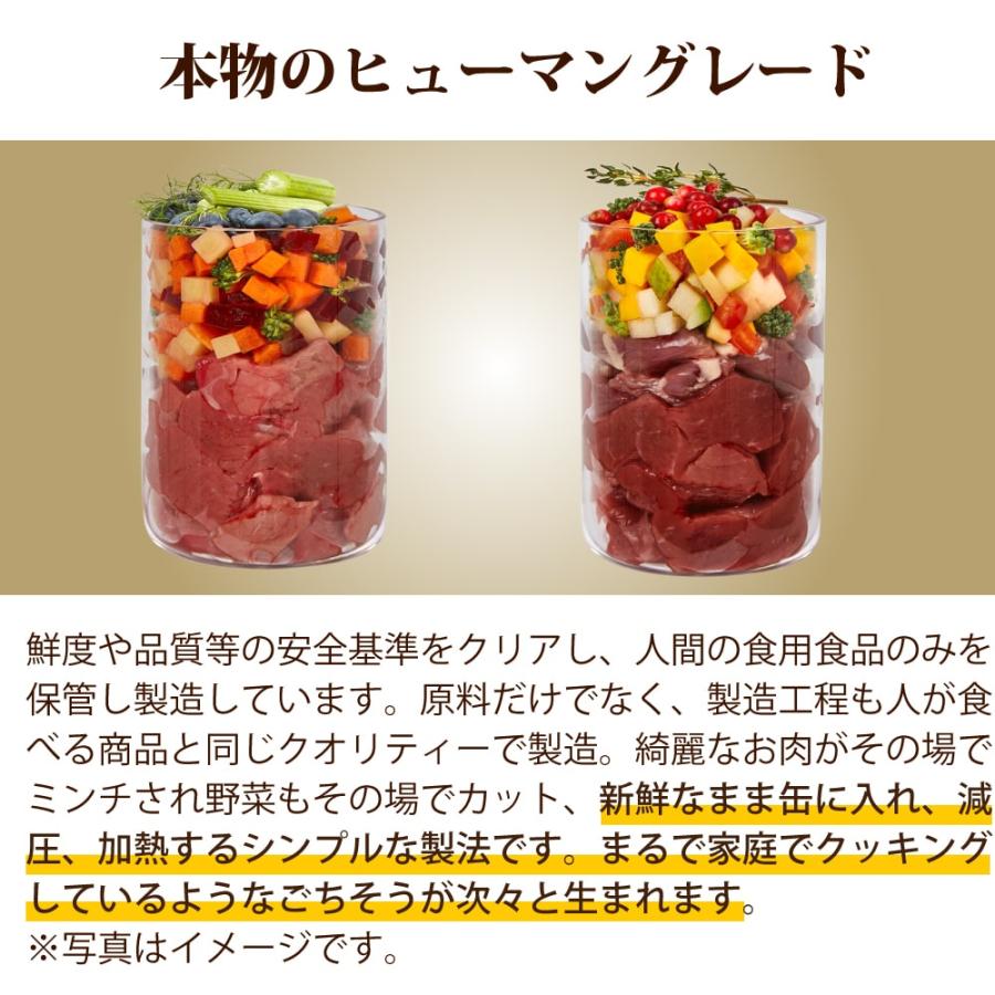 テラカニス　マーケットラグー　ビーフ 385g×6缶セット　愛犬用コンプリート食　ビーフとブロッコリー　ブルーベリー＆セージ |  | 02