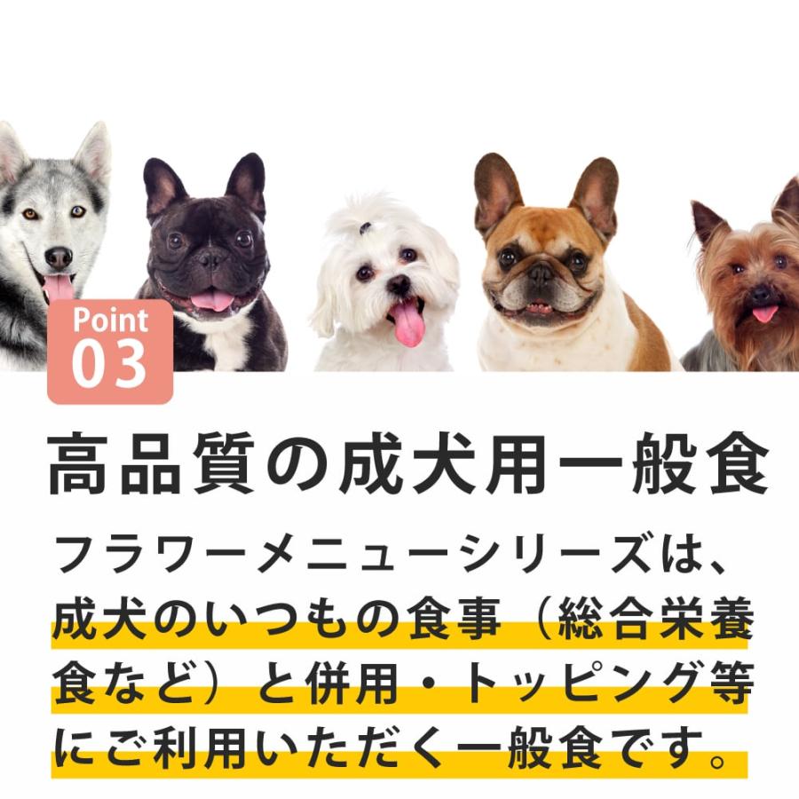テラカニス　チェリーブロッサム 400g フラワーメニュー チェリーブロッサム チキン&ライス セサミシード入り〜チェリーピューレを添えて〜 |  | 05