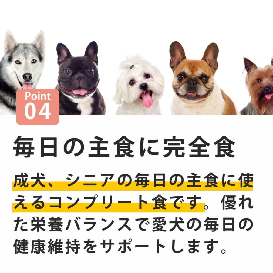 テラカニス ネイチャーハウンド 400g 選べる3つの味 チキン＆ラビット