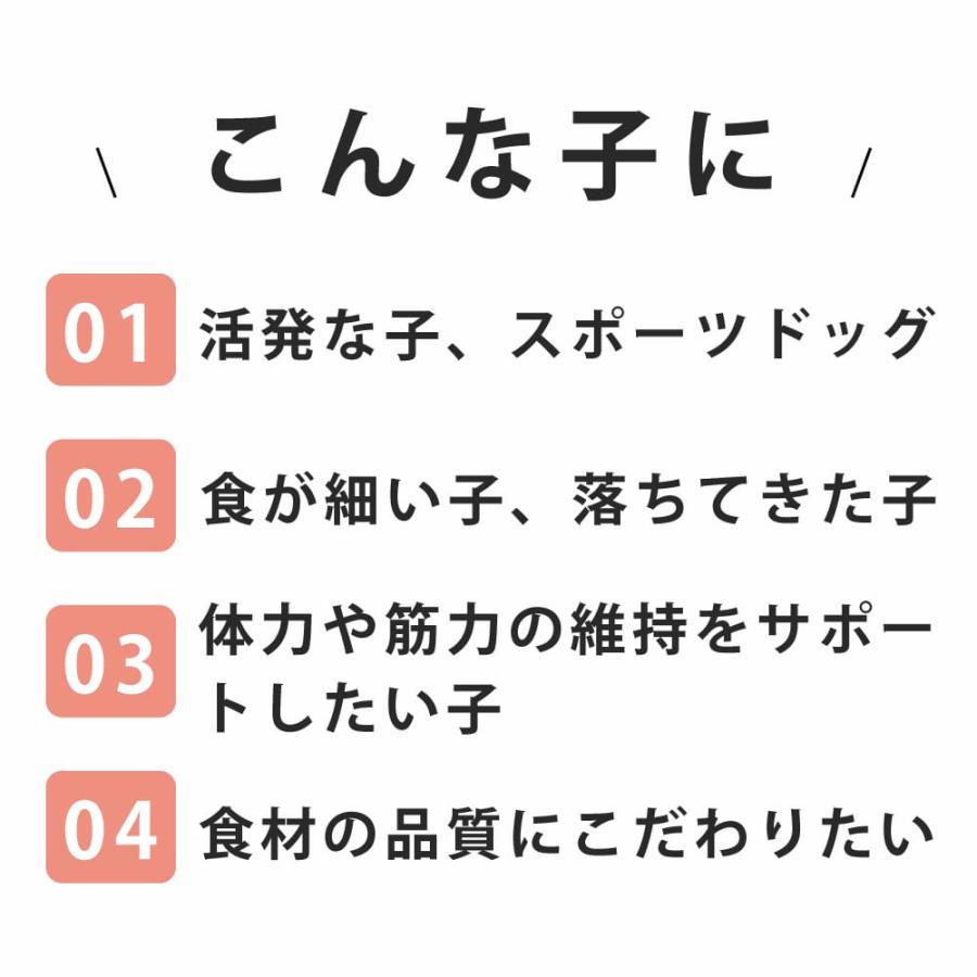 爆買 テラカニス ネイチャーハウンド 400g×6缶セット 選べる3つの味