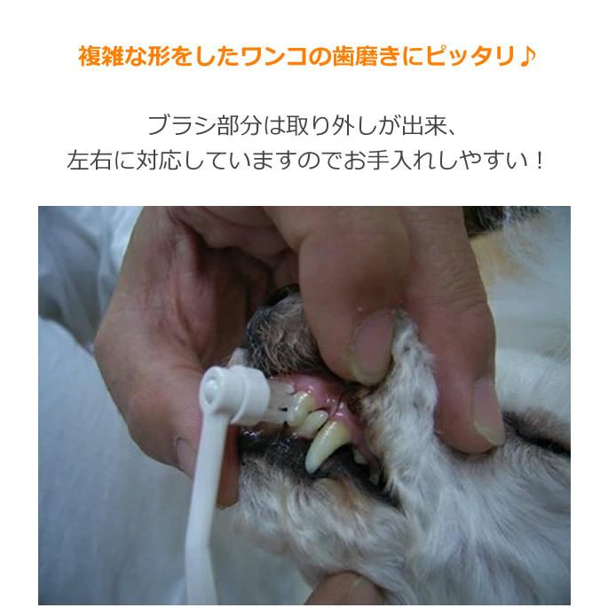 犬 歯磨き 犬口ケア ティースブラシ 犬用ミニ歯ブラシ | 犬口ケア | 02