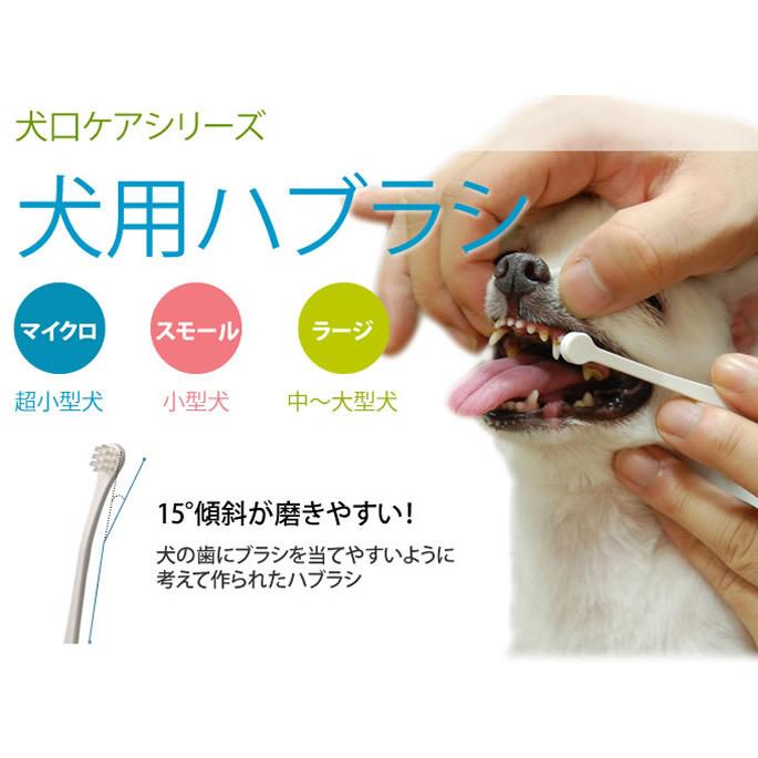 犬 歯磨き NEW犬口ケア 歯ブラシ スモールヘッド | 犬口ケア | 01