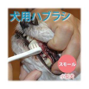 犬 歯磨き NEW犬口ケア 歯ブラシ スモールヘッド | 犬口ケア | 08