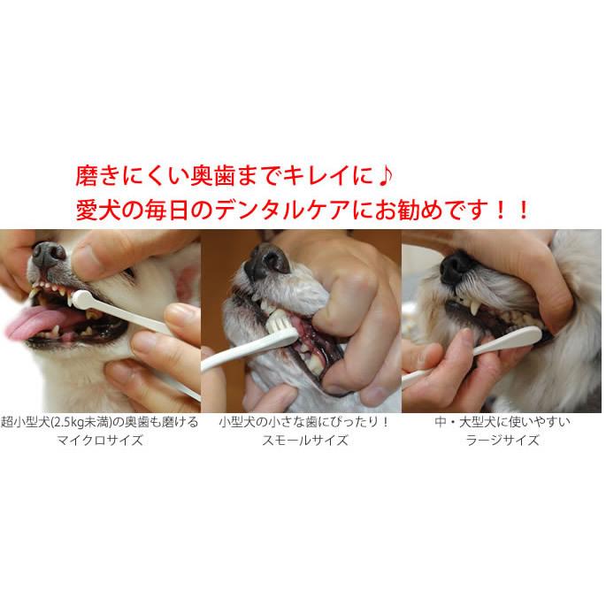 犬 歯磨き NEW犬口ケア 歯ブラシ ラージヘッド | 犬口ケア | 06
