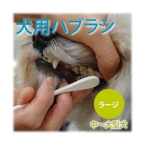 犬 歯磨き NEW犬口ケア 歯ブラシ ラージヘッド | 犬口ケア | 08