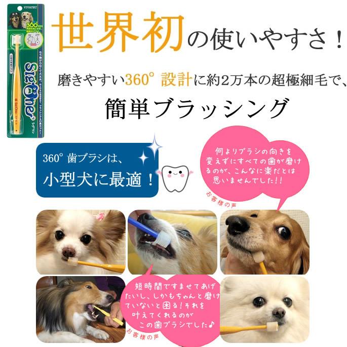 犬 歯磨き ペット歯ブラシ シグワン 小型犬用 ビバテック | VIVATEC | 01