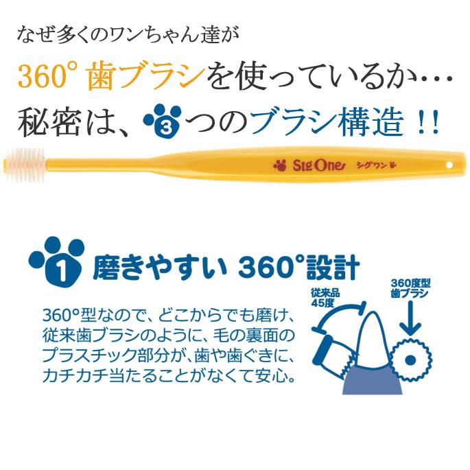 犬 歯磨き ペット歯ブラシ シグワン 小型犬用 ビバテック | VIVATEC | 02