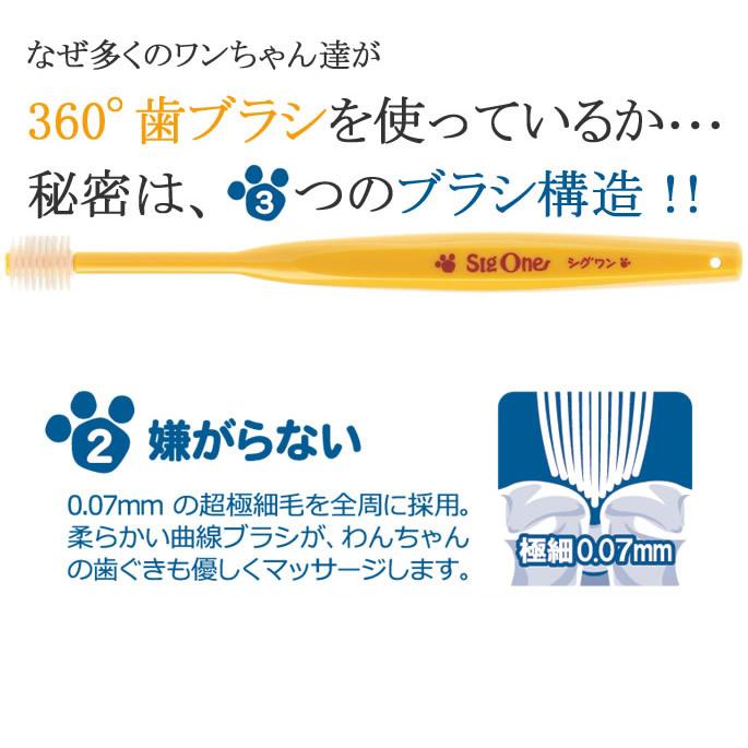 犬 歯磨き ペット歯ブラシ シグワン 小型犬用 ビバテック | VIVATEC | 03