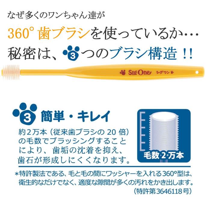 犬 歯磨き ペット歯ブラシ シグワン 小型犬用 ビバテック | VIVATEC | 04