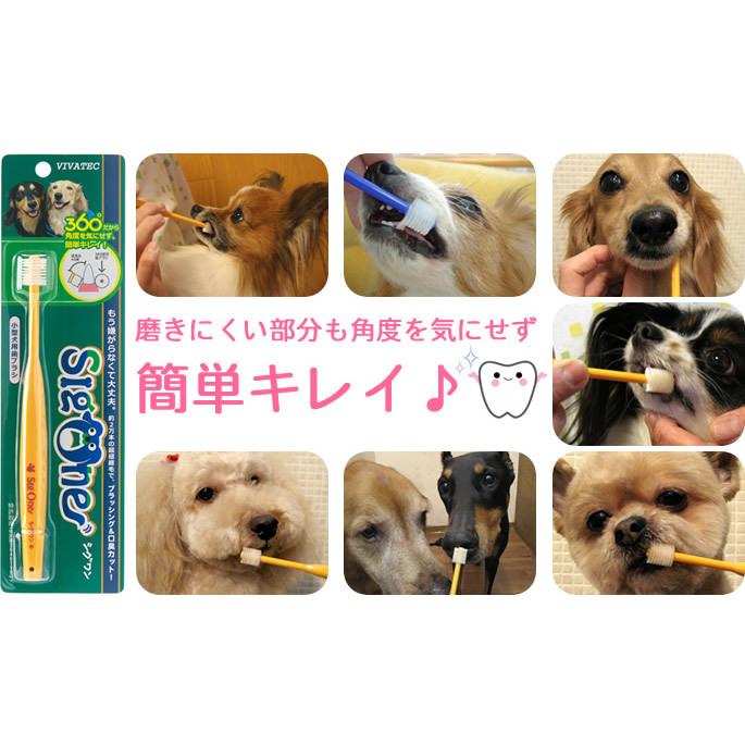 犬 歯磨き ペット歯ブラシ シグワン 小型犬用 ビバテック | VIVATEC | 05