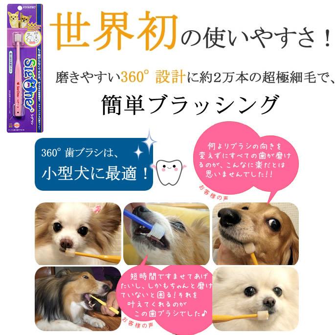 犬 歯磨き ペット歯ブラシ シグワン 超小型犬用 ビバテック | VIVATEC | 01