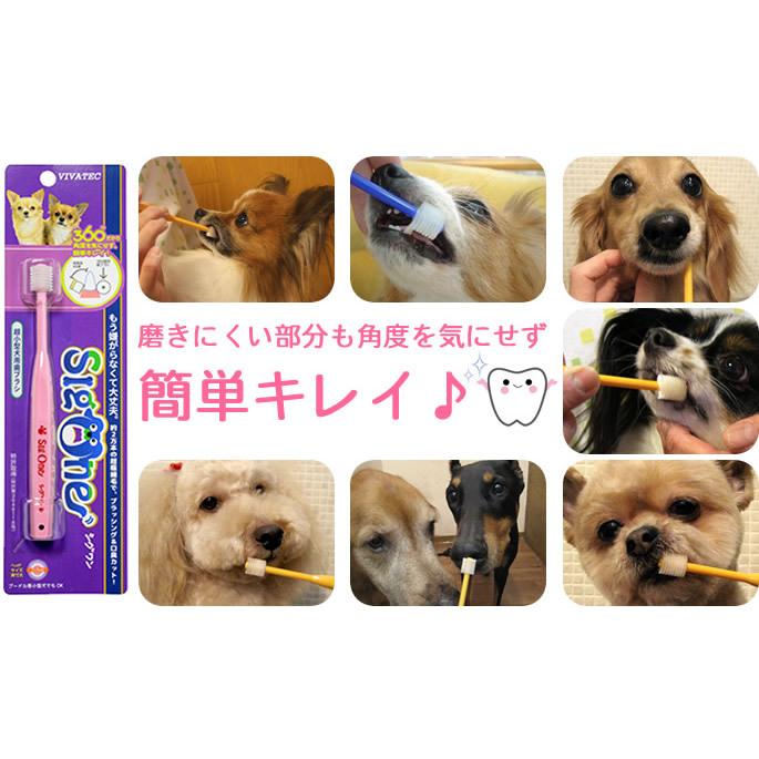 犬 歯磨き ペット歯ブラシ シグワン 超小型犬用 ビバテック | VIVATEC | 05