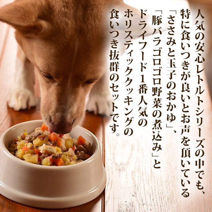 帝塚山ハウンドカム 愛犬用フードセット 食いつき抜群レトルトとホリ