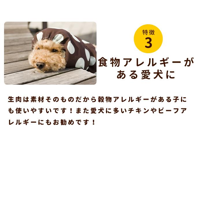 犬用 生肉 馬肉 粗挽き 1kg 500gパック 2 冷凍 Tge 犬デンタルケア帝塚山ハウンドカム 通販 Yahoo ショッピング