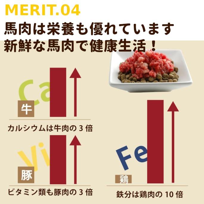 犬 生肉 冷凍 馬肉 粗挽き 5kg  500gパック入り×10＋1  500gのおまけ付き！｜houndcom｜05