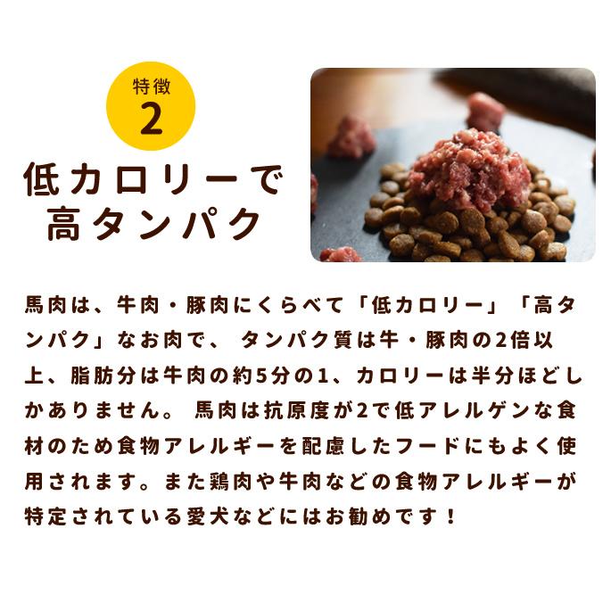 初回 送料無料 犬用 生肉 新鮮 馬肉ミンチ 小分けトレー 1kg スタータ Tge t 犬デンタルケア帝塚山ハウンドカム 通販 Yahoo ショッピング