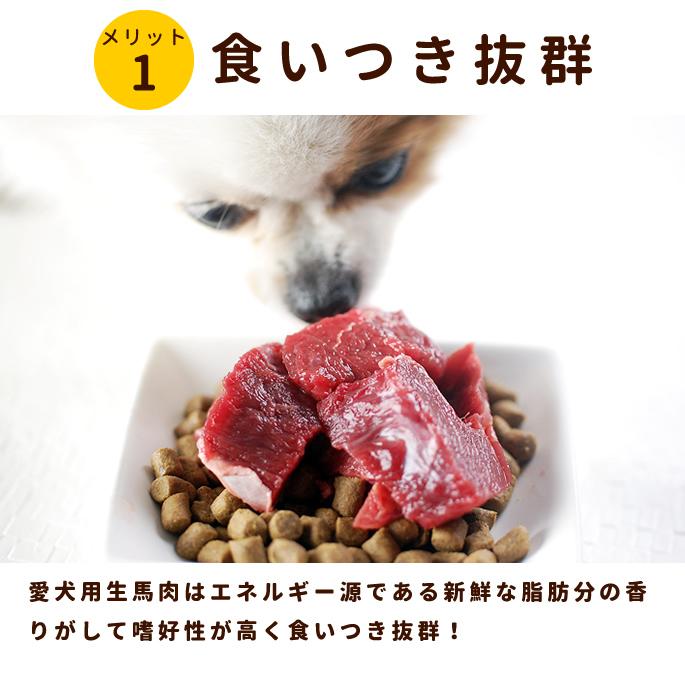 犬用 生肉 冷凍 馬肉 ブロック 3kg 500g 6 Tge 犬デンタルケア帝塚山ハウンドカム 通販 Yahoo ショッピング