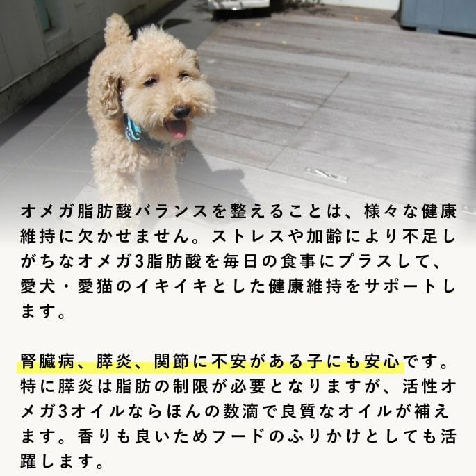 オメガ3 脂肪酸 皮膚 被毛 関節 健康維持 トッピング DHA EPA 活性オメガ3オイル 100ml | 帝塚山ハウンドカム | 08
