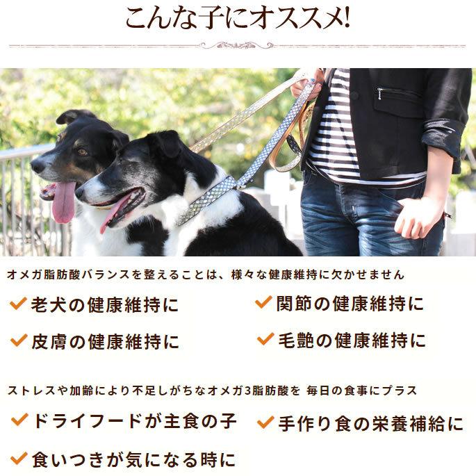 全てのアイテム 犬猫用 マグロの健康オメガ3オイル 3本セット オメガ3脂肪酸 Dha Epa Discoversvg Com