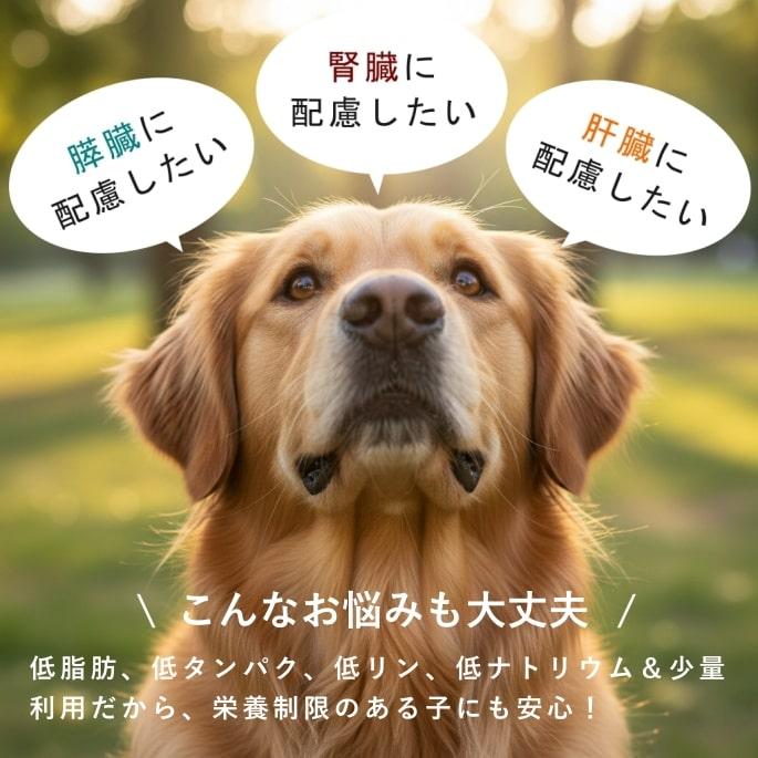 犬 ペット用 発酵野菜 ふりかけ 酵素パワー元気 100g ドッグフード 手作り食材 無添加 低リン 発酵食品 発酵 野菜 低リン | 帝塚山ハウンドカム | 12