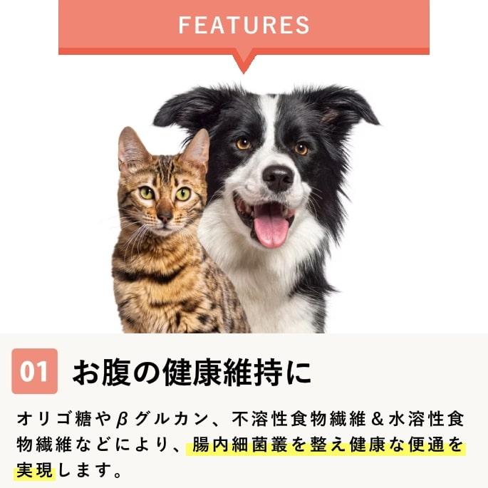 帝塚山ハウンドカム 犬 ペット用 発酵野菜 ふりかけ 酵素パワー元気