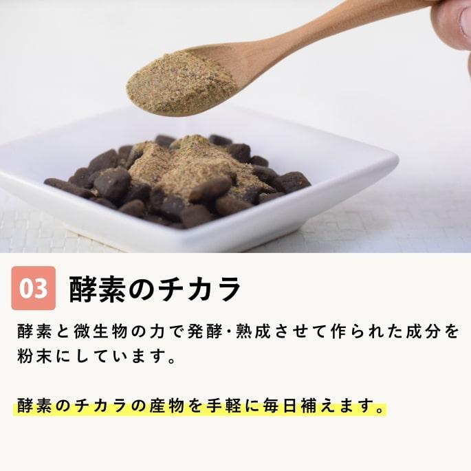 帝塚山ハウンドカム 犬 ペット用 発酵野菜 ふりかけ 酵素パワー元気