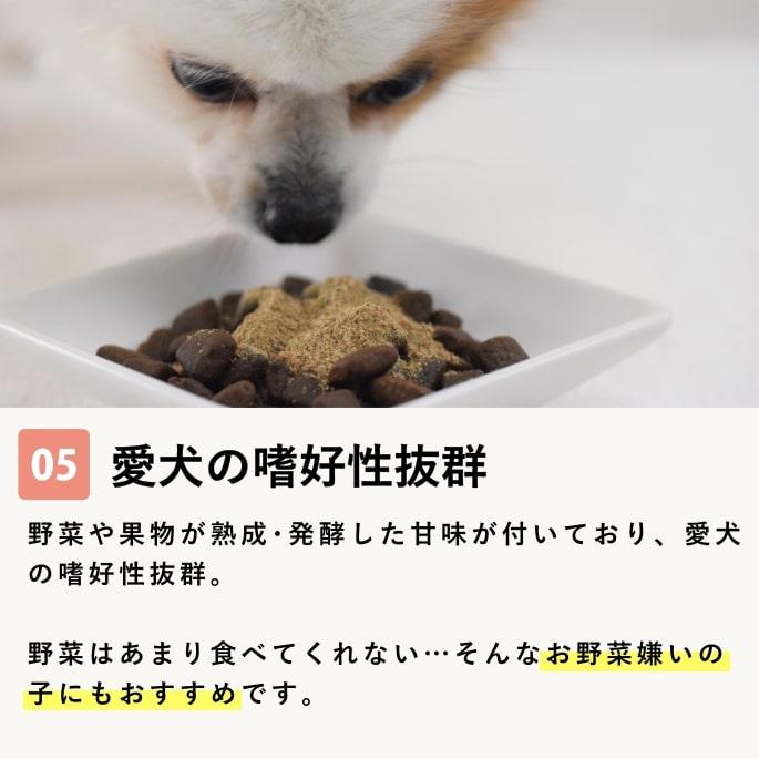 帝塚山ハウンドカム 犬 ペット用 発酵野菜 ふりかけ 酵素パワー元気