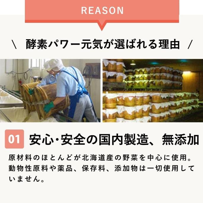 犬 ペット用 発酵野菜 ふりかけ 酵素パワー元気 100g ドッグフード 手作り食材 無添加 低リン 発酵食品 発酵 野菜 低リン | 帝塚山ハウンドカム | 09