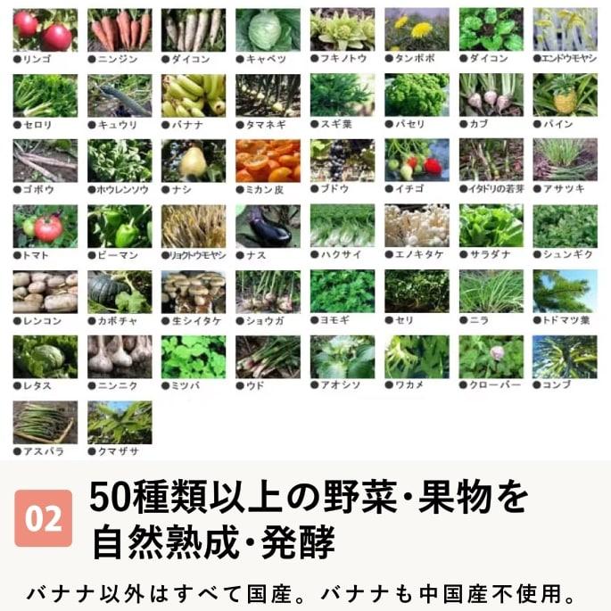 帝塚山ハウンドカム 犬 ペット用 発酵野菜 ふりかけ 酵素パワー元気