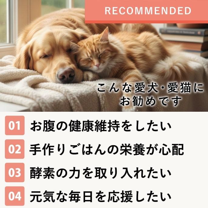 犬 ペット用 発酵野菜 ふりかけ 酵素パワー元気 100g ドッグフード 手作り食材 無添加 低リン 発酵食品 発酵 野菜 低リン | 帝塚山ハウンドカム | 11