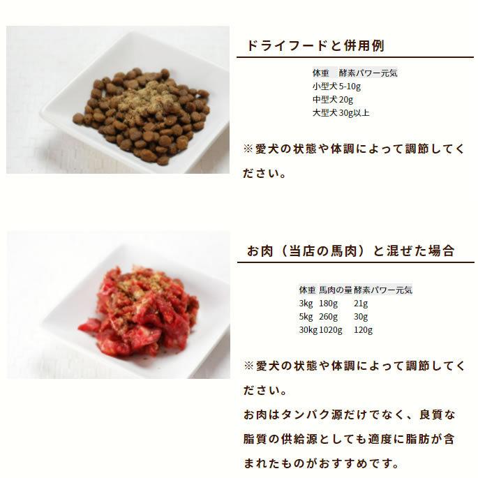 犬用 手作り食材 酵素パワー元気 100g 5袋セット 発酵野菜 低リン 発酵食品 Tge set5 犬手作りごはん帝塚山ハウンドカム 通販 Yahoo ショッピング