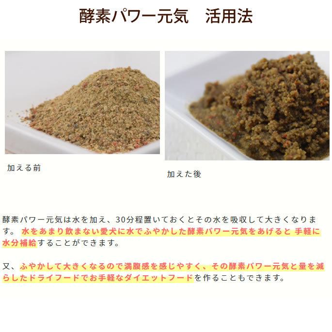 犬用 手作り食材 酵素パワー元気 100g 5袋セット 発酵野菜 低リン 発酵食品 Tge 090796set5 犬デンタルケア帝塚山ハウンドカム 通販 Yahoo ショッピング