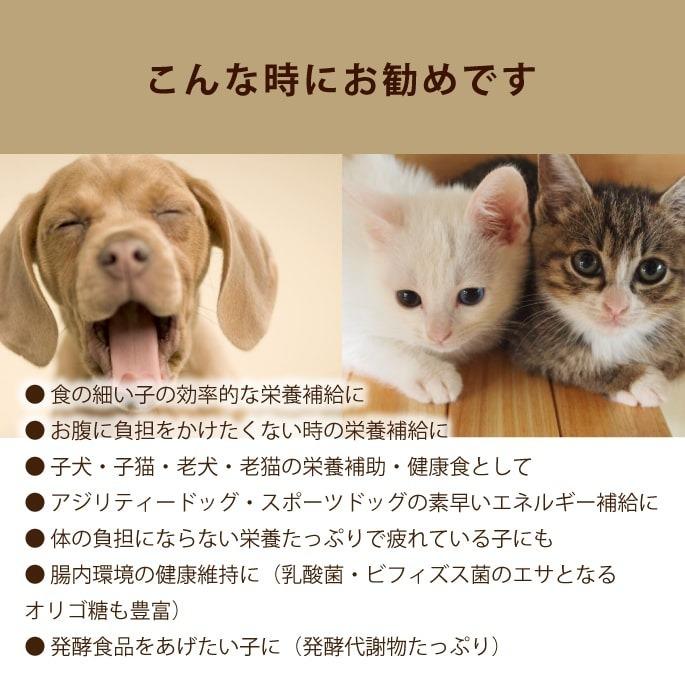 酵素ドリンクスーパー元気 100ml 犬 手作りフード 手作り食 植物性発酵飲料 Tge 犬デンタルケア帝塚山ハウンドカム 通販 Yahoo ショッピング