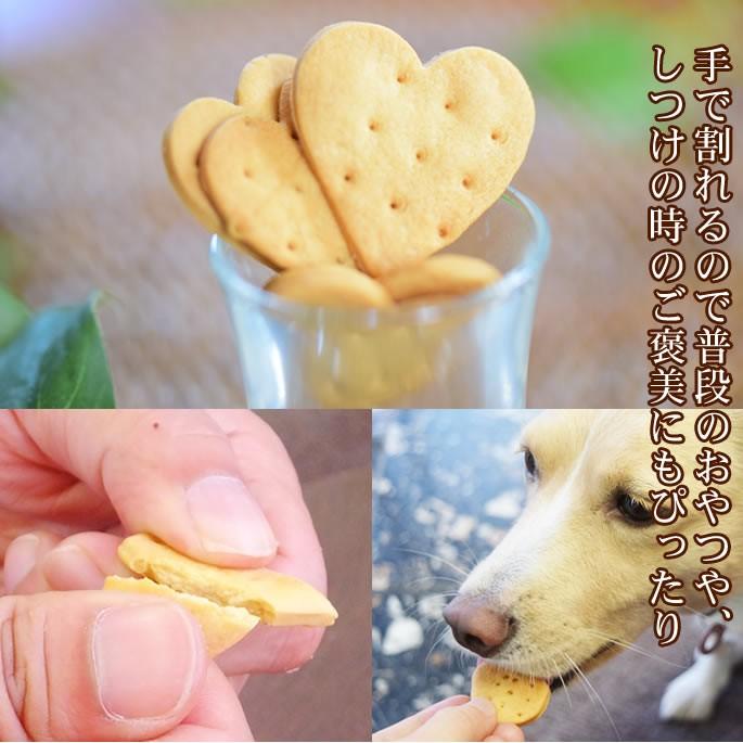犬用おやつセット 無添加 安心 ミニギフトおやつアソート Tge 犬手作りごはん帝塚山ハウンドカム 通販 Yahoo ショッピング