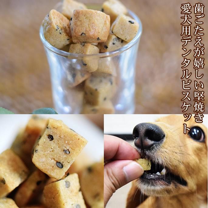 犬用おやつセット 無添加 安心 ミニギフトおやつアソート : 安心おやつ
