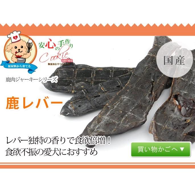 帝塚山ハウンドカム 犬 おやつ 犬 猫 ペット 用 おやつ 無添加 国産