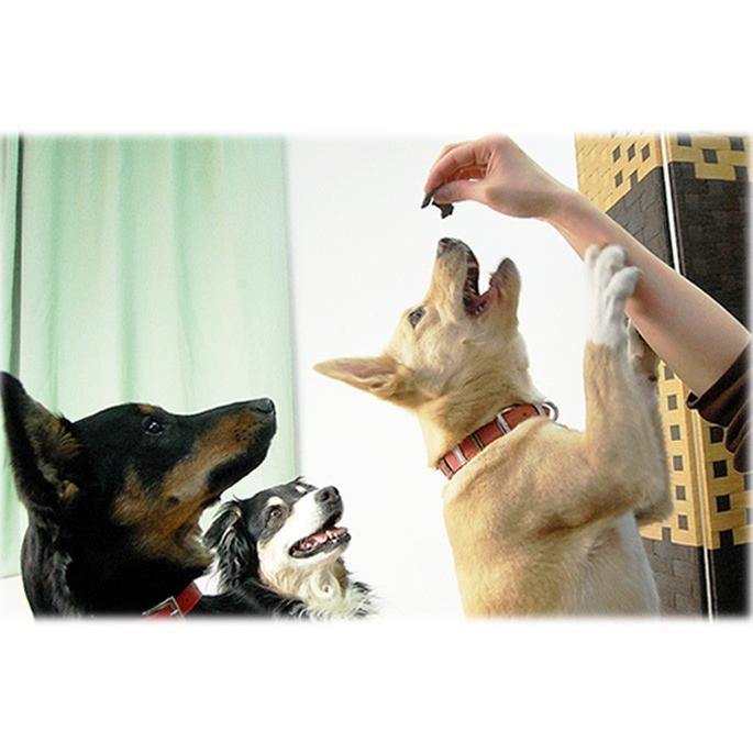 犬 おやつ 犬 猫 ペット 用 おやつ 無添加 国産 安心 ジャーキー 鹿 肺 ミネラル ジビエ 小型犬 中型犬 大型犬 全犬種 鹿ラング 5袋セット | 帝塚山ハウンドカム | 02