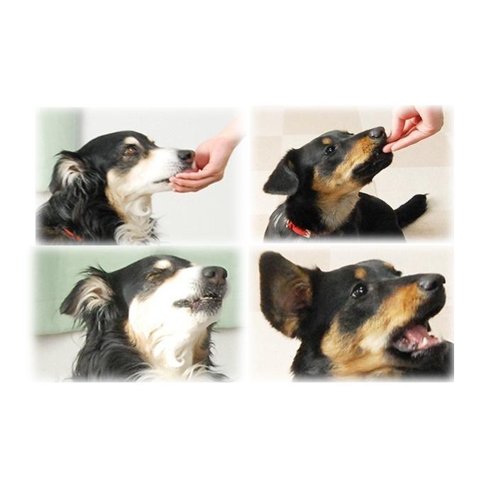 犬 おやつ 犬 猫 ペット 用 おやつ 無添加 国産 安心 ジャーキー 鹿 肺 ミネラル ジビエ 小型犬 中型犬 大型犬 全犬種 鹿ラング 5袋セット | 帝塚山ハウンドカム | 03