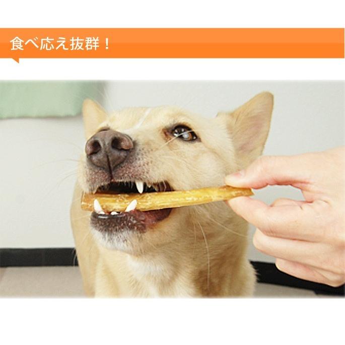 犬 おやつ 無添加 安心 デンタル 和牛の背筋アキレス Tge 0907 犬手作りごはん帝塚山ハウンドカム 通販 Yahoo ショッピング