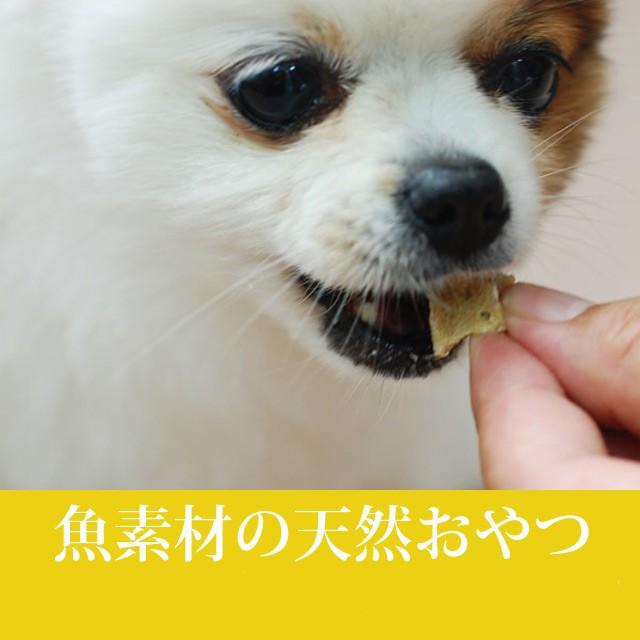 犬 猫 おやつ 安心 魚 無添加獲れたて 鯛コロコロステーキ Tge 0906 犬デンタルケア帝塚山ハウンドカム 通販 Yahoo ショッピング