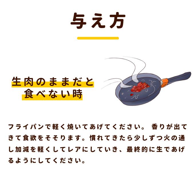 送料無料 犬 生肉 冷凍 グルコサミン入り 馬肉 小分けトレー 3kg｜houndcom｜14