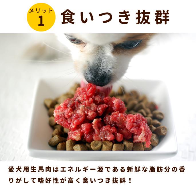 お気にいる 犬用 生肉 冷凍 グルコサミン入り 馬肉 小分けトレー 3kg 100 本物保証 Www Muslimaidusa Org