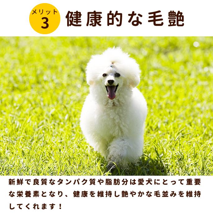 お気にいる 犬用 生肉 冷凍 グルコサミン入り 馬肉 小分けトレー 3kg 100 本物保証 Www Muslimaidusa Org