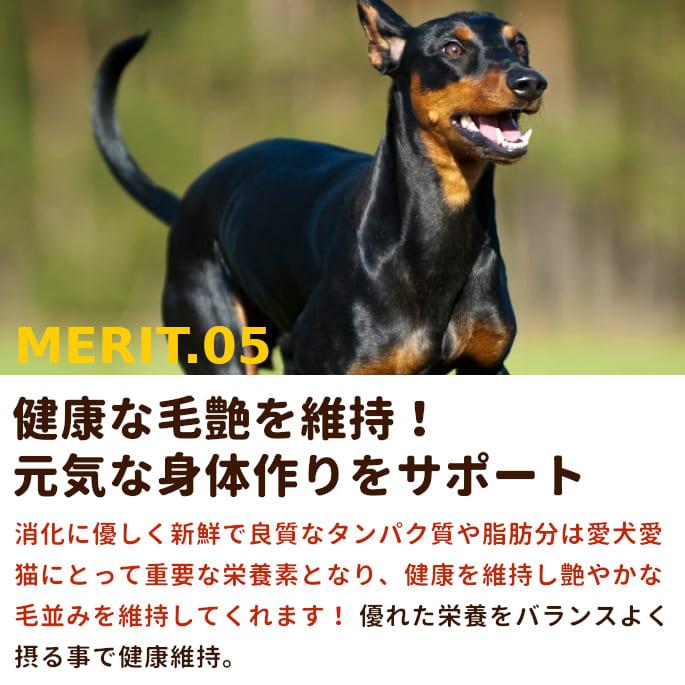 送料無料 犬 生肉 冷凍 グルコサミン入り 馬肉 小分けトレー 3kg｜houndcom｜06