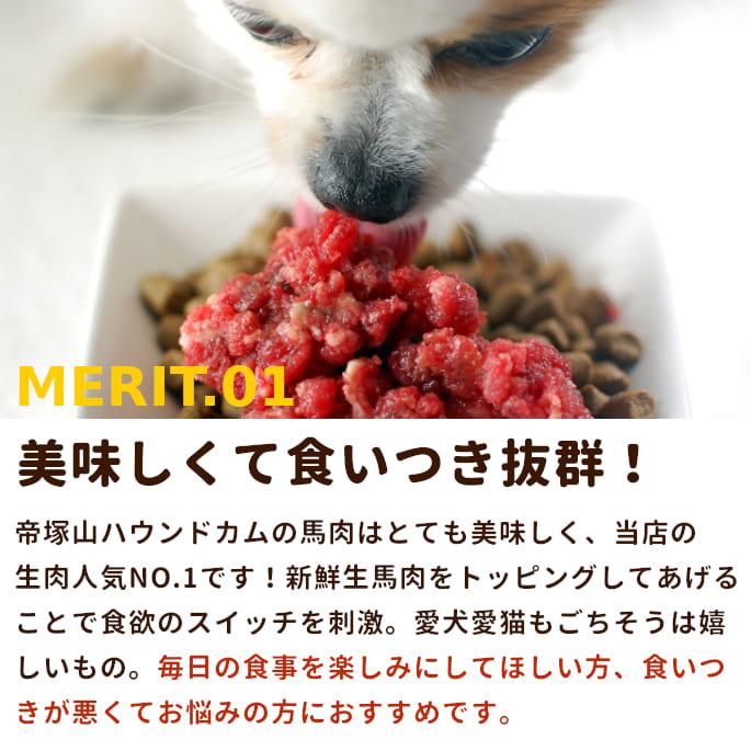 帝塚山ハウンドカム 犬 猫 ペット ドッグフード 生肉 ごはん 老犬 馬肉