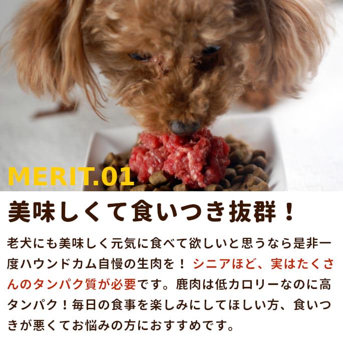 帝塚山ハウンドカム 犬 猫 ペット ドッグフード 猫用 生 冷凍 老犬用