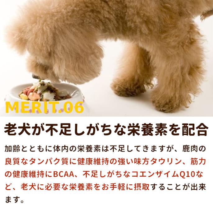 帝塚山ハウンドカム 犬 猫 ペット ドッグフード 猫用 生 冷凍 老犬用
