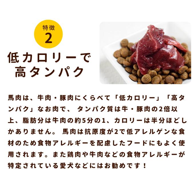 独特の上品 犬 生肉 冷凍 国産馬肉 こま切れ 1kg A0301 Shipsctc Org