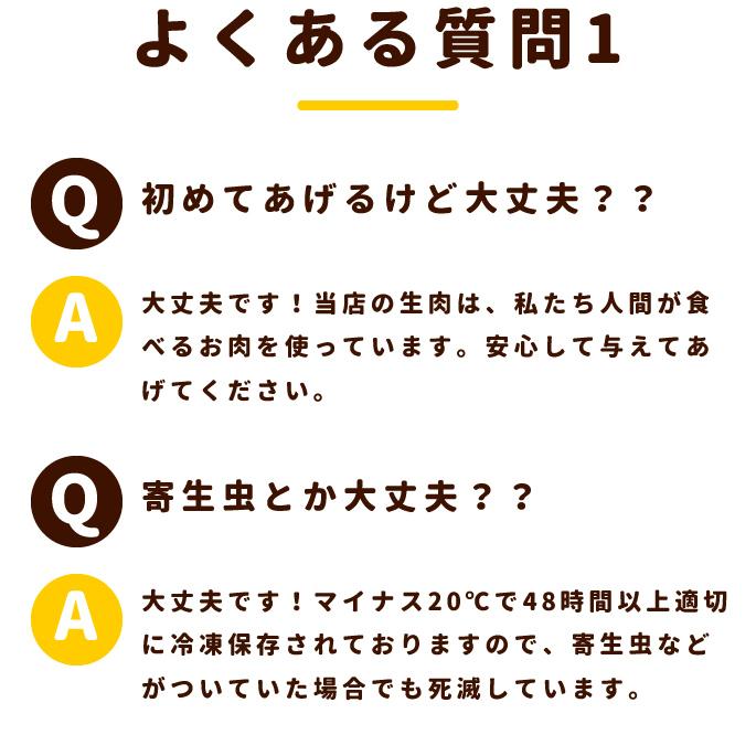 犬 生肉 冷凍 国産馬肉 こま切れ 500g｜houndcom｜13